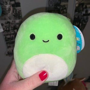 5\" Henry the Turtle Squishmallow